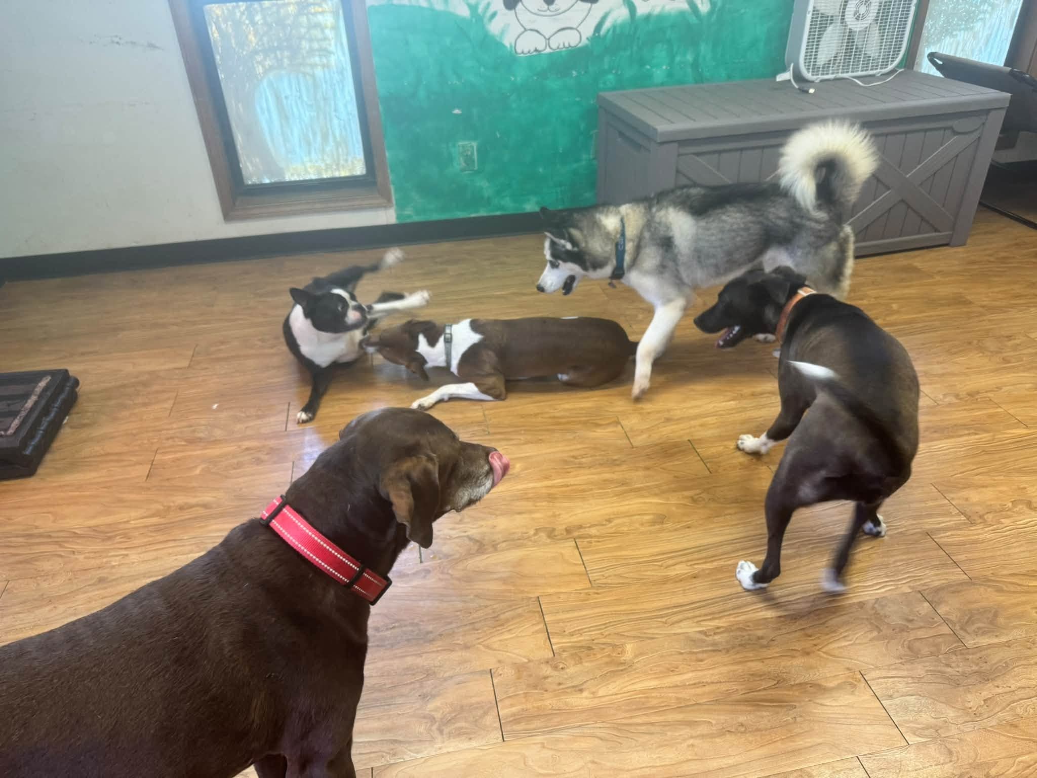 A lively play session indoors
